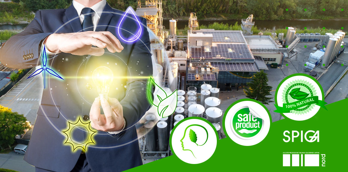 A Green Vision Halal Certification Quality Compliance Global Markets